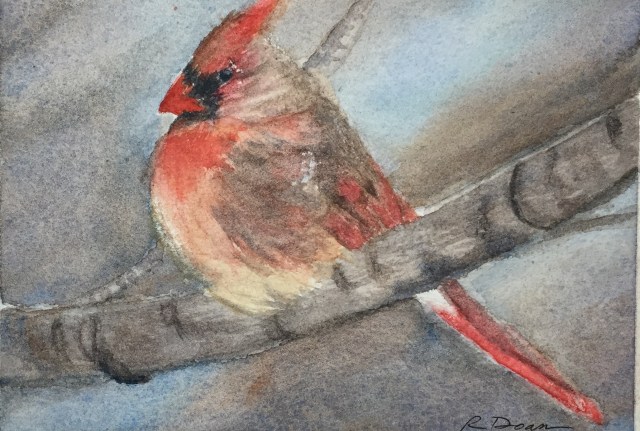 Cardinal1